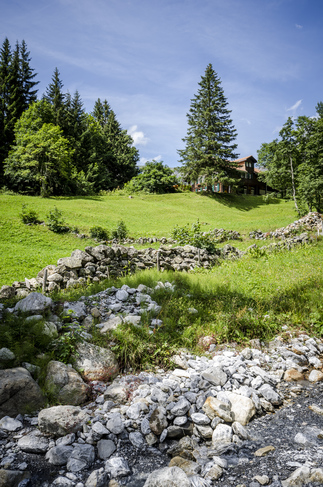 Foto der Landschaft um das Tagungshaus in Grindelwald
